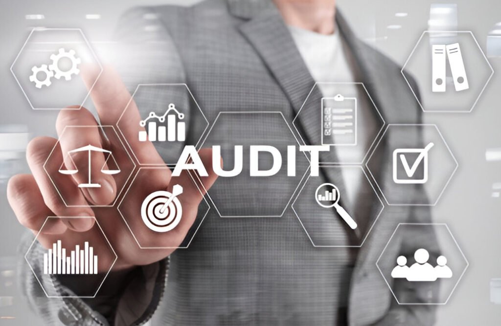 Audit Principal