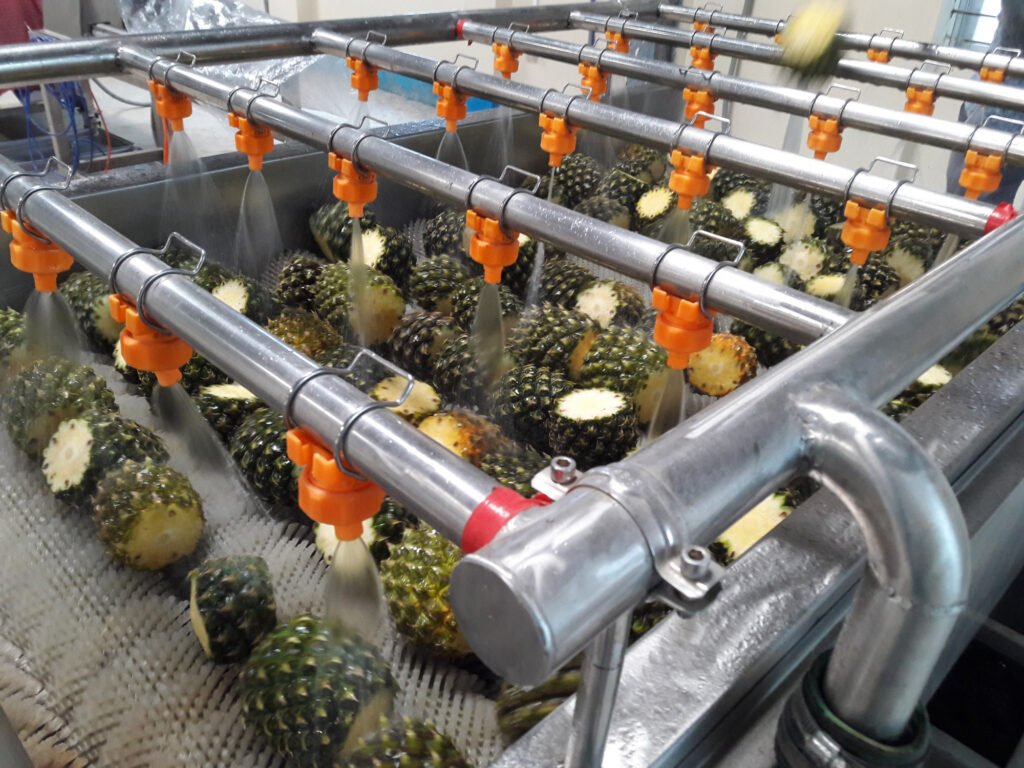 Rangamati Pineapple chips factory