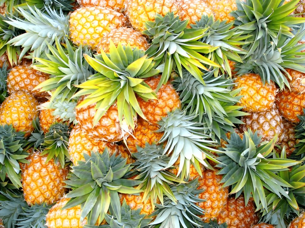 Pineapple