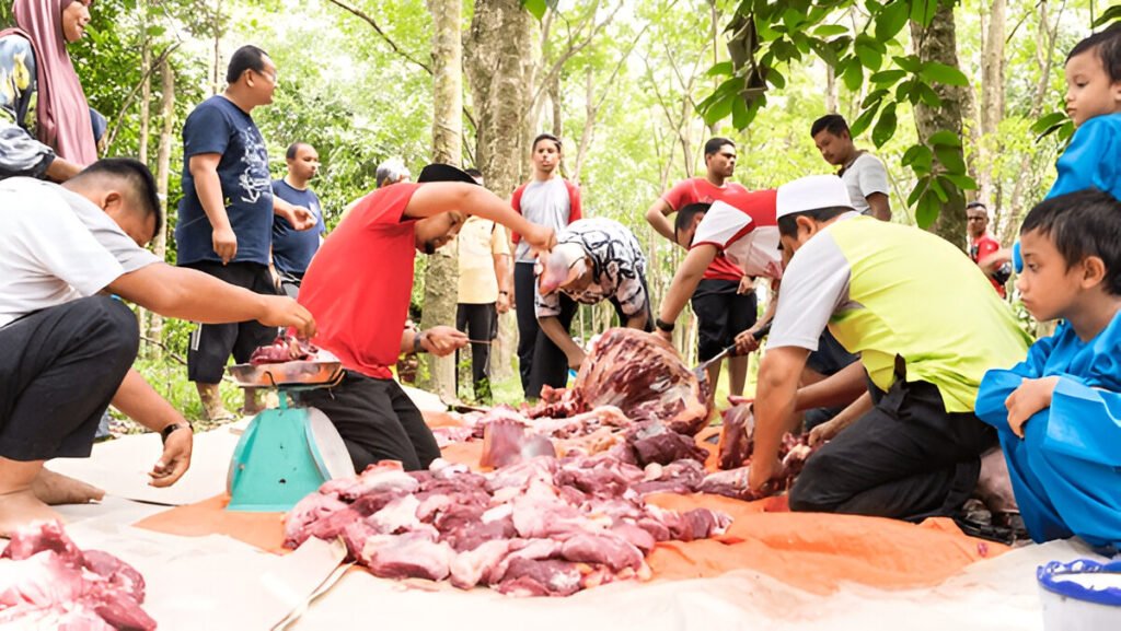 critical slaughter