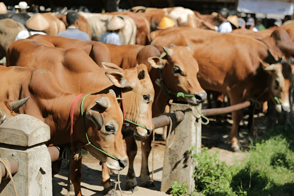 Eid Ul Adha Economical Impact